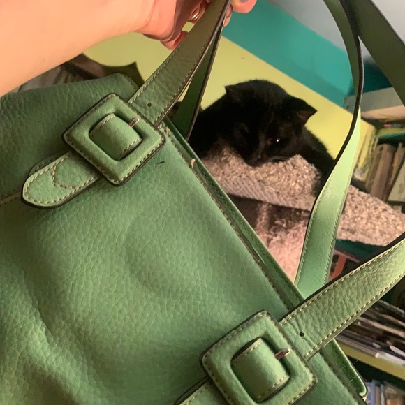 Plastic, Liz Claiborne light green bag. - Picture 1 of 4